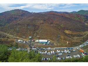 İzmir'de 1 milyon fidan toprakla buluşuyor