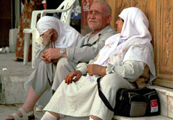 Hacılar yolunacak kaz mı?