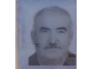 Zeytin ağacından düşen kişi öldü