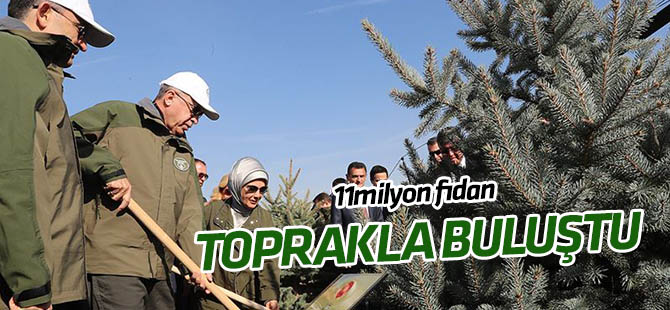 11.11.2019 saat 11.11’de ilk fidanı Cumhurbaşkanı Erdoğan toprakla buluşturdu