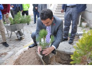 "11 Milyon Ağaç; Bugün Fidan, Yarın Nefes" programı