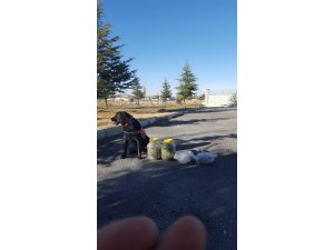 Niğde’de 3 kilogram esrar ele geçirildi