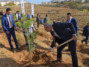 "11 Milyon Ağaç; Bugün Fidan, Yarın Nefes" programı