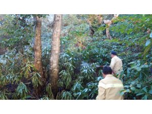 Ormanlık alanda çıkan yangın kontrol altına alındı