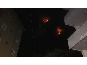 Bartın’daki orman yangını kontrol altına alındı