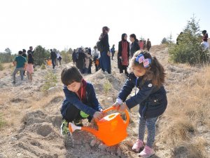 NEÜ Köyceğiz ve Seydişehir Yerleşkesinde binlerce fidan toprakla buluştu