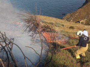 Makilik alanda yangın