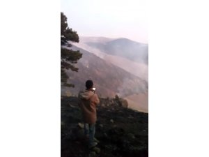 Ardahan’daki orman yangınını söndürme çalışmaları sürüyor