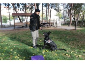 Teşkilatın gözdesi Bath, Balıkesir’de göreve başladı