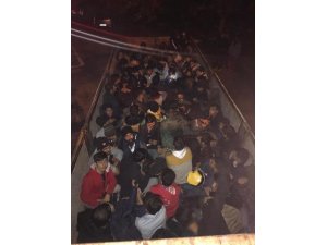 Koyun dedi, mülteci çıktı