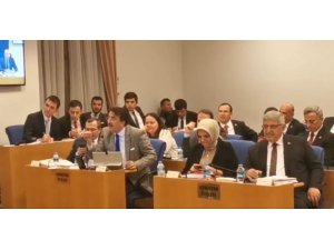Milletvekili Aydemir: ‘Onlara acı veren, bize lezzet veriyor’