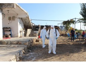 Tilki nedeniyle köy karantinaya alındı