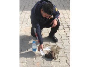 Zorda kalan sokak hayvanlarını itfaiye ekipleri kurtardı