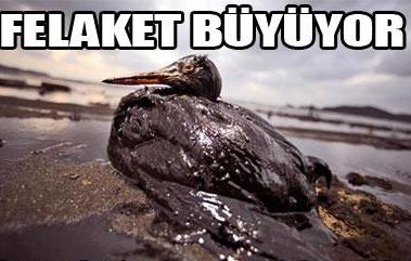 Felaket büyüyor
