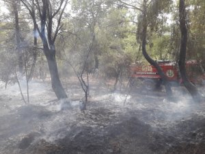 Kumluca’da orman yangını