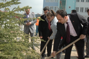 Selçuklu'da ağaçlandırmaya devam