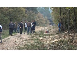 Ağaca asılı halde erkek cesedi bulundu