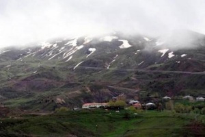 Basılan karakola kahreden telefon