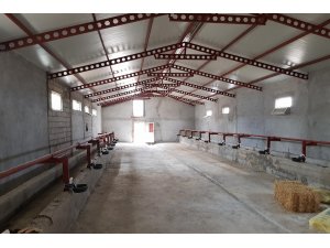 Sorgun'da ahırlarda modernizasyon yapıldı