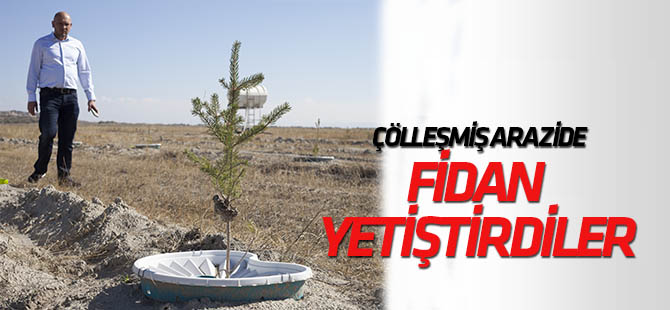 Çölleşmiş arazide "16 litre su" ile fidan büyüttüler