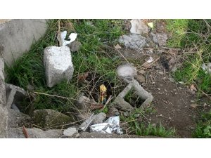 Vicdansız anne bebeğini poşete koyup arsaya attı