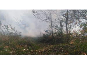 Ordu’da orman yangını kontrol altına alındı