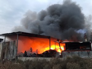 Sakarya'da geri dönüşüm fabrikasında yangın