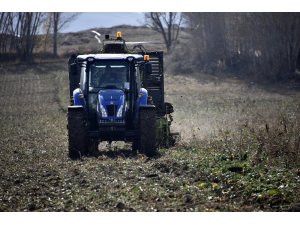 Şeker pancarı üreticileri, firmanın yüksek fire oranı göstermesinden dertli