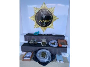 Adana’da bonzai operasyonu