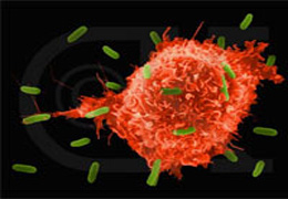 Türk bilim adamı çığır açacak