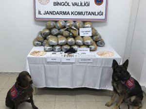 Bingöl’de 38 kilo toz esrar ele geçirildi