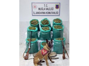 Muğla Jandarması 115 kilo esrar ele geçirdi