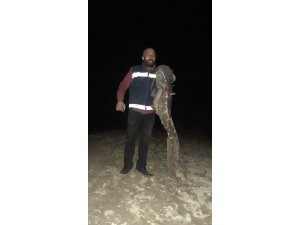 İki atışta 55 kilogramlık 2 yayın balığı yakaladı