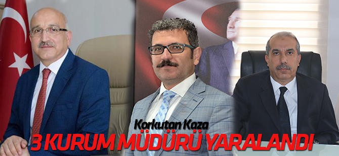 İl Müdürleri kazada yaralandı