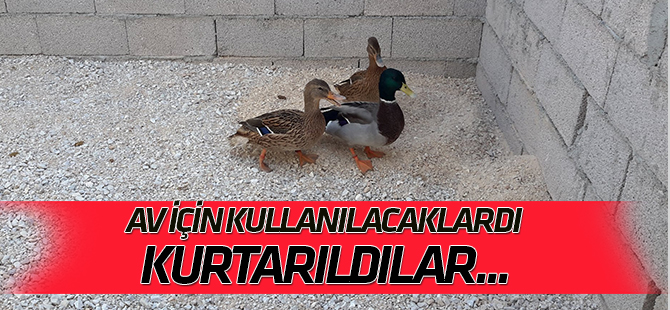 Av için kullanacaklardı