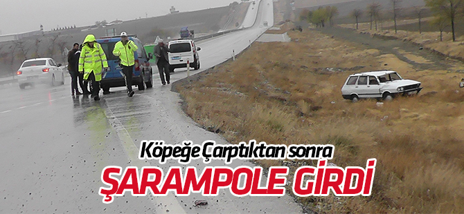Köpeğe çarpan otomobil şarampole yuvarlandı: 4 yaralı