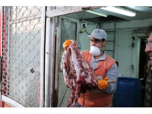 Sakarya’da 20 ton kaçak et ve sakatat ele geçirildi