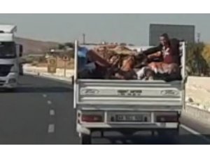 Eşyalarla tehlikeli yolculuk