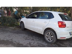 Kazayı bırakıp zeytin topladılar