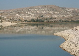 Konyalılar ilgi göstermedi
