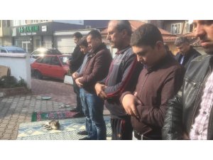 Cami cemaatinin kedi sevgisi takdir topladı