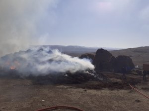 30 bin ot balyası yangında kül oldu