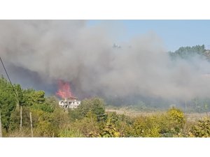 Osmaniye’de orman yangını