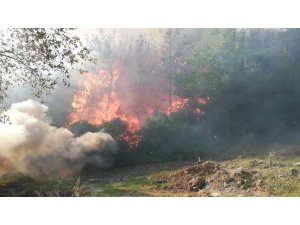 Osmaniye’deki orman yangınını söndürme çalışmaları sürüyor