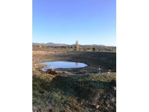 Bakımı yapılan göletler üreticiye gelir sağlayacak