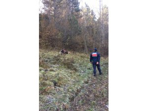 Kayıp kadına ait olduğu düşünülen kemik parçaları bulundu