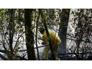 Ormanlık alandaki yangın ekiplerce söndürüldü