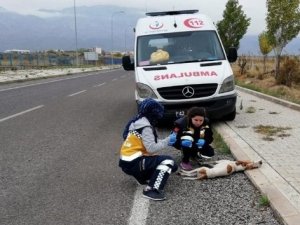 Konya’da 112 çalışanları ’Paşa’ için gözyaşı döktü