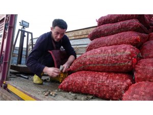 Deniz ürünleri ihracatında önemli bir yer tutan deniz salyangozu balıkçıların gelir kaynağı oldu