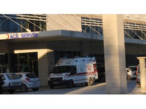 Elma toplamak için çıktığı ağaçtan düşüp yaralandı